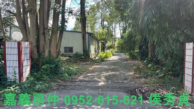 嘉義梅山農地-7