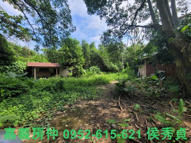 嘉義梅山農地-8