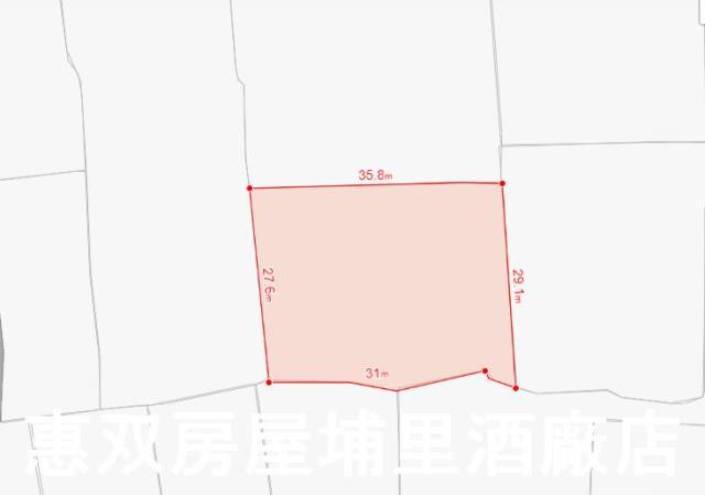 南投埔里農地-1