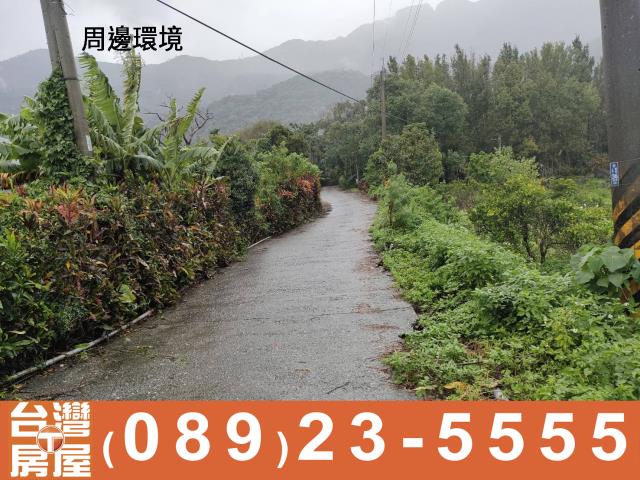 台東成功農地-1