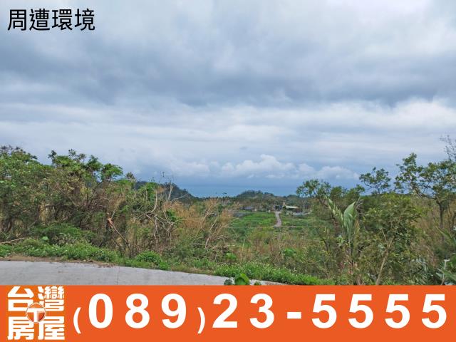 台東成功農地-5