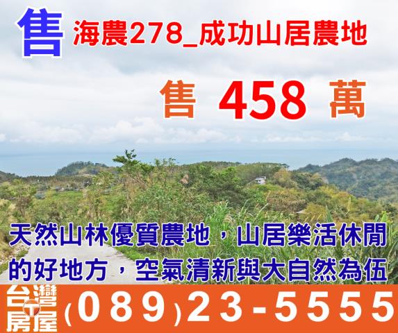 台東成功農地-0