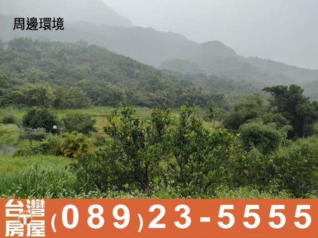 台東成功農地-2