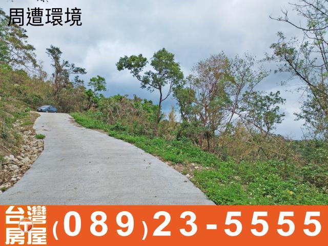 台東成功農地-6