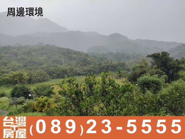 台東成功農地-4