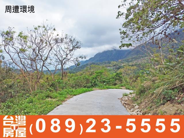 台東成功農地-8