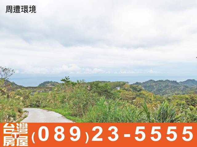 台東成功農地-9