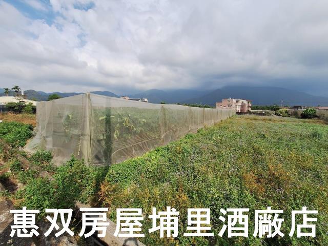 南投埔里農地-1