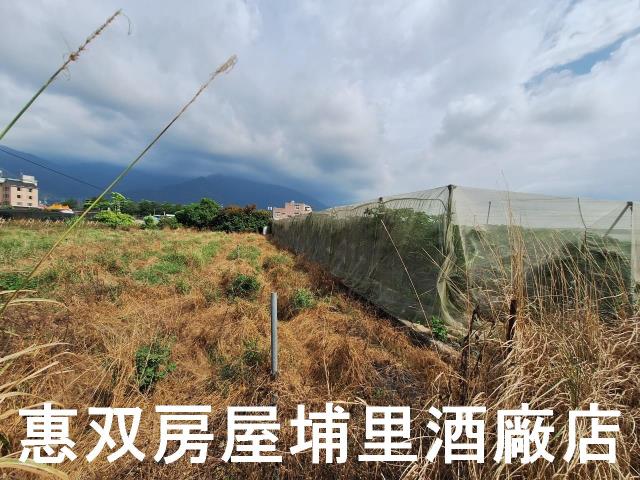 南投埔里農地-2
