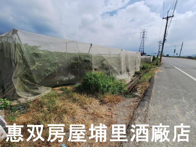 南投埔里農地-3