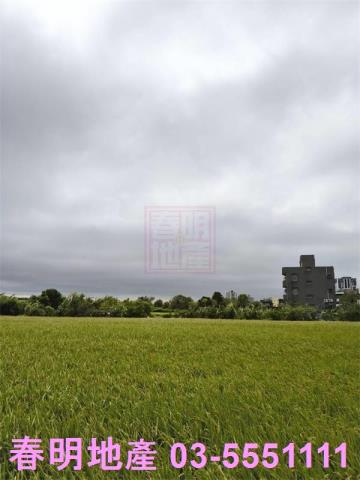 北區農地-2