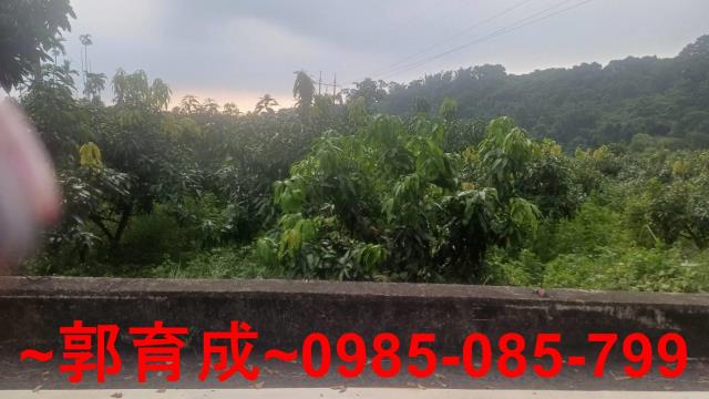 嘉義農地-9