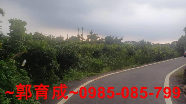 嘉義農地-11