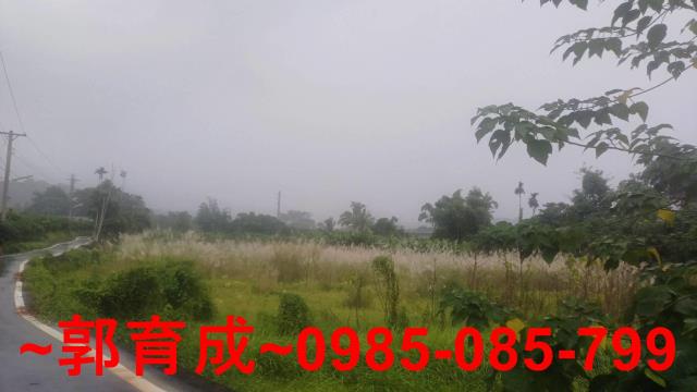 嘉義農地-2