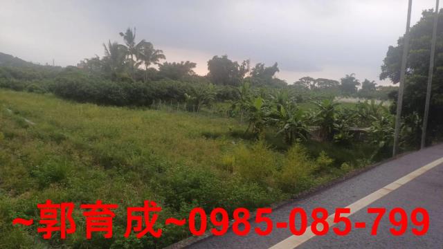 嘉義農地-7