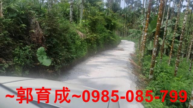 嘉義農地-3