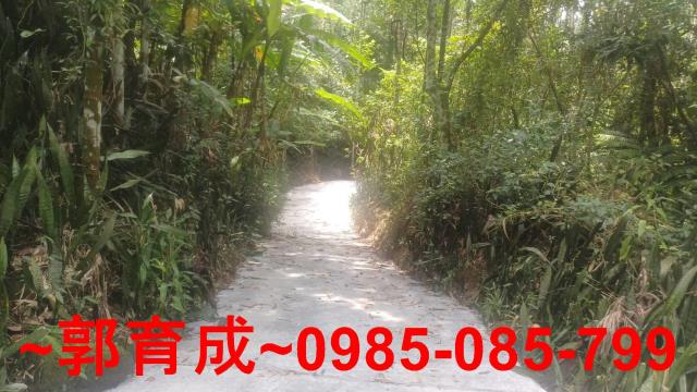 嘉義農地-4