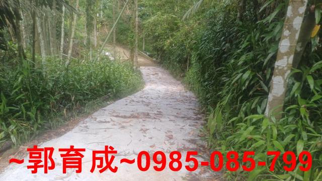 嘉義農地-5