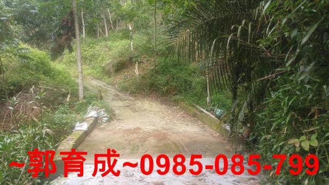 嘉義農地-6