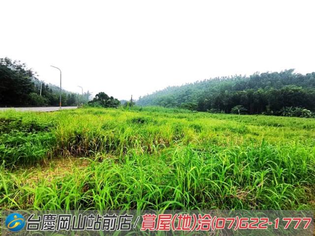 高雄內門農地-5