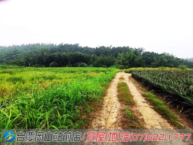高雄內門農地-6
