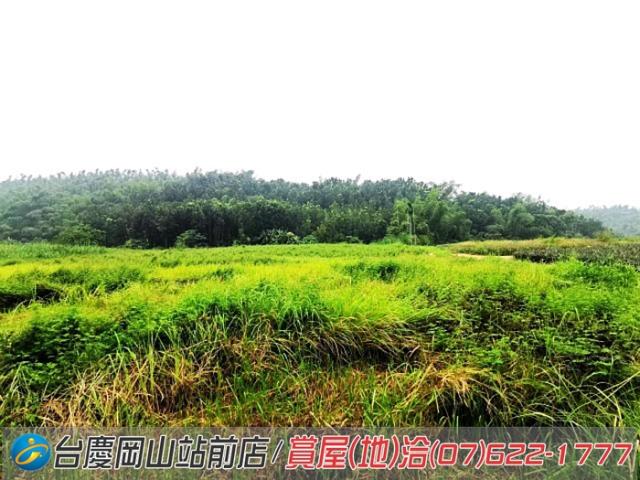 高雄內門農地-8
