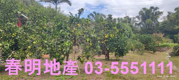 關西農地-3