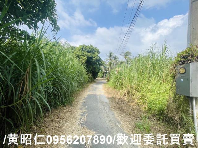 台南歸仁農地-4