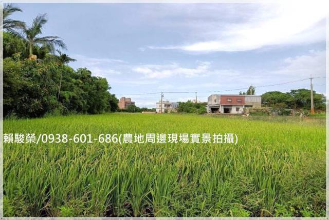 桃園觀音向陽農場農地