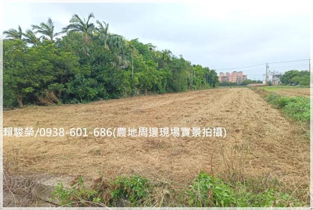 桃園觀音向陽農場農地