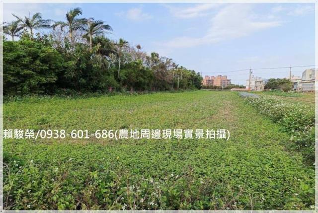 桃園觀音向陽農場農地