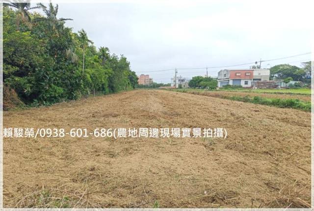 桃園觀音向陽農場農地