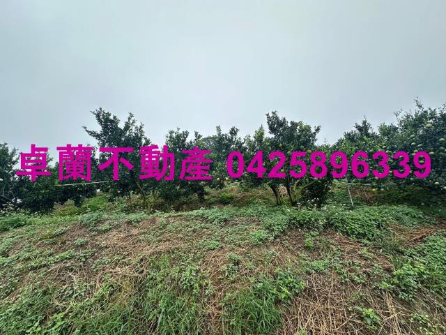 卓蘭農地-3