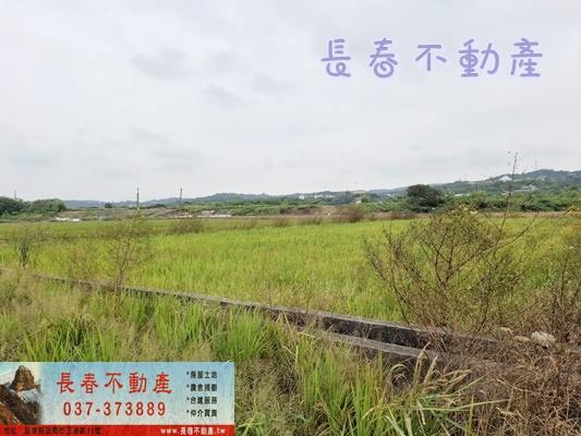西湖農地-2