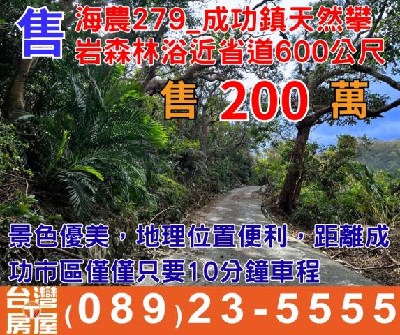 台東成功農地-0