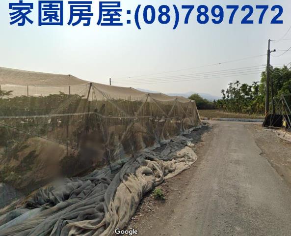 屏東新埤農地-2