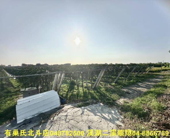 彰化二林農地-1