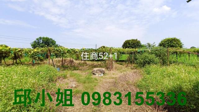 東區農地-0