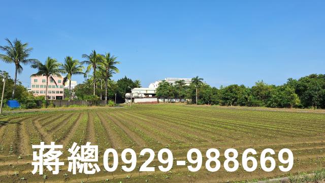 台南農地-10