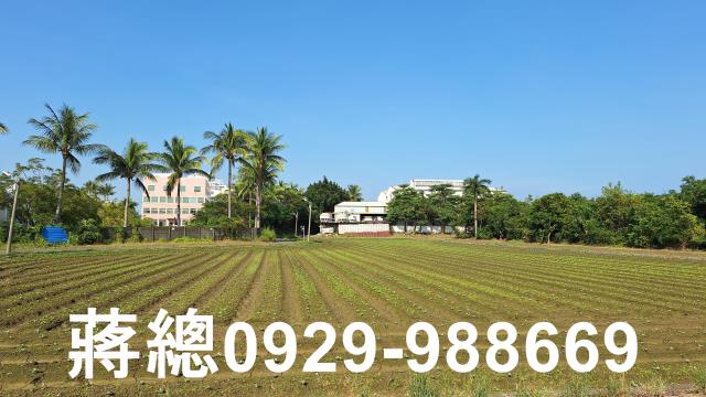 台南農地-4