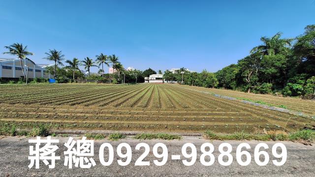 台南農地-2