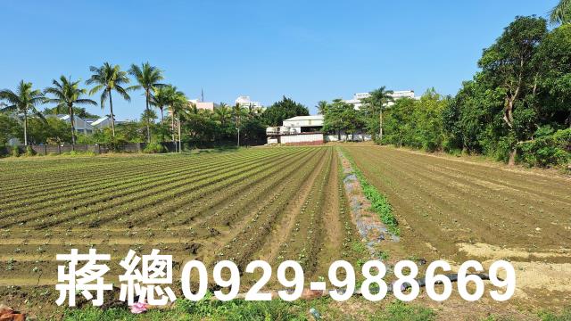 台南農地-1