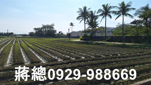 台南農地-8