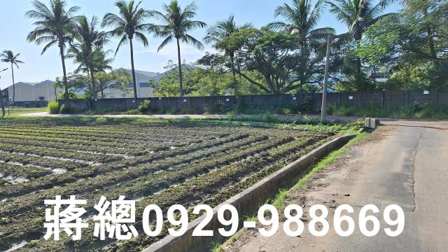 台南農地-9