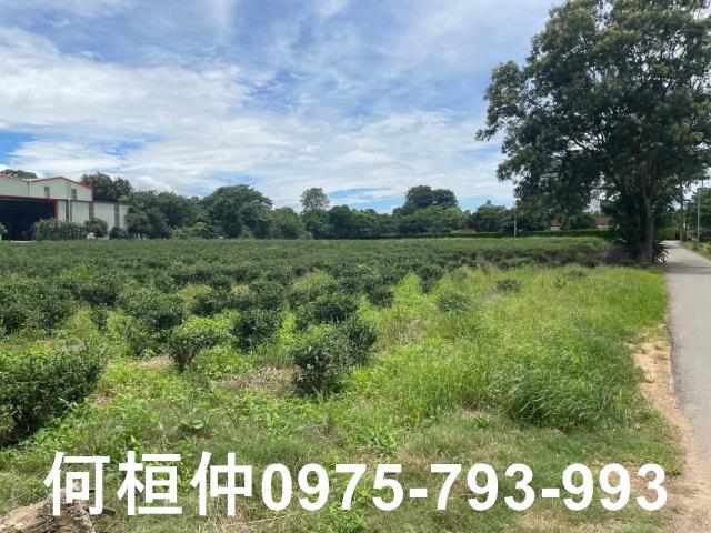 苗栗頭份農地-2