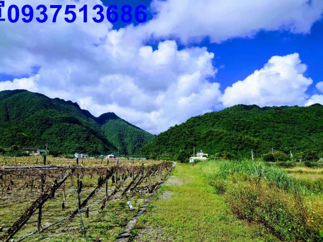 員山農地-14
