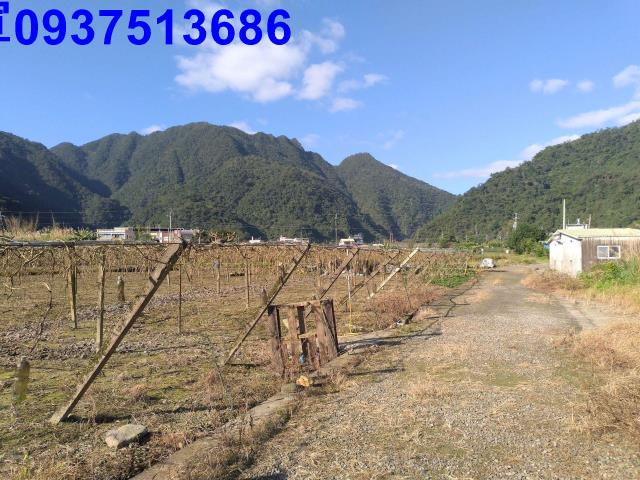 員山農地-8
