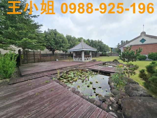 樹林農地-1