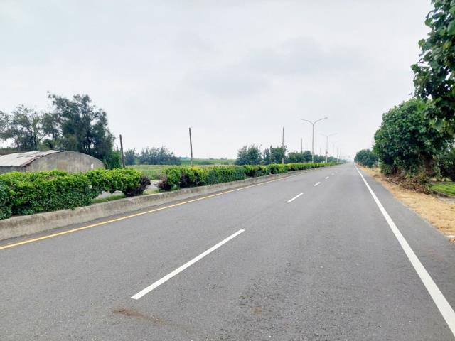 大城農地-9