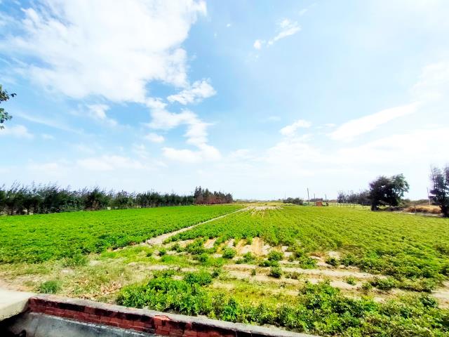 大城農地-0